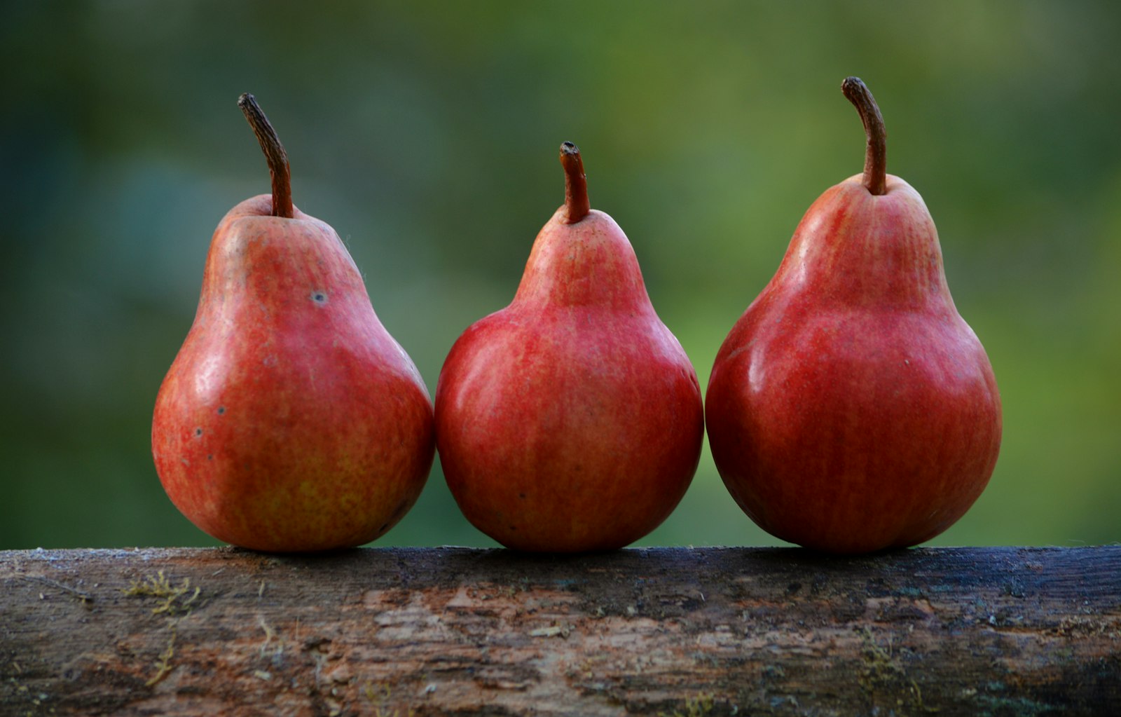 Three red pears lined up on a wooden ledge